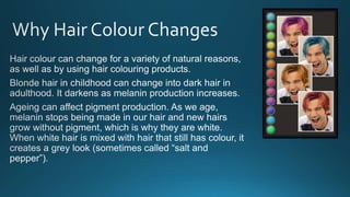 Level 3 colour theory