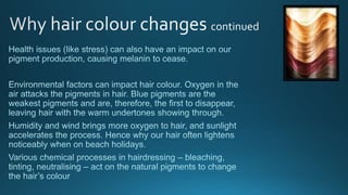 Level 3 colour theory