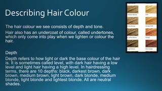 Level 3 colour theory