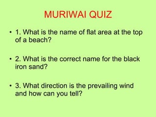 MURIWAI QUIZ 1. What is the name of flat area at the top of a beach? 2. What is the correct name for the black iron sand? 3. What direction is the prevailing wind and how can you tell? 