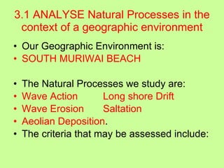3.1 ANALYSE Natural Processes in the context of a geographic environment Our Geographic Environment is: SOUTH MURIWAI BEACH The Natural Processes we study are: Wave Action Long shore Drift Wave Erosion Saltation Aeolian Deposition . The criteria that may be assessed include: 