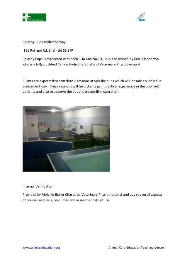Level 3 Hydrotherapy For Small Animals Abc Award Pdf