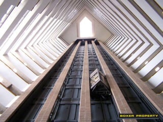Featured Houston Office Space: Level-5 Design 