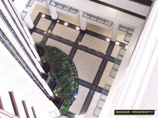 Featured Houston Office Space: Level-5 Design 