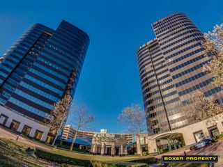 Featured Houston Office Space: Level-5 Design 