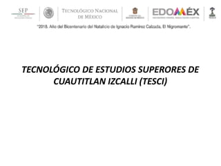 TECNOLÓGICO DE ESTUDIOS SUPERORES DE
CUAUTITLAN IZCALLI (TESCI)
 