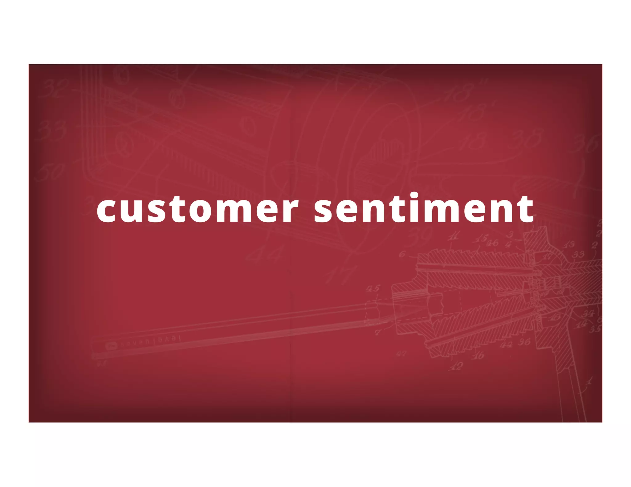 customer sentiment
 