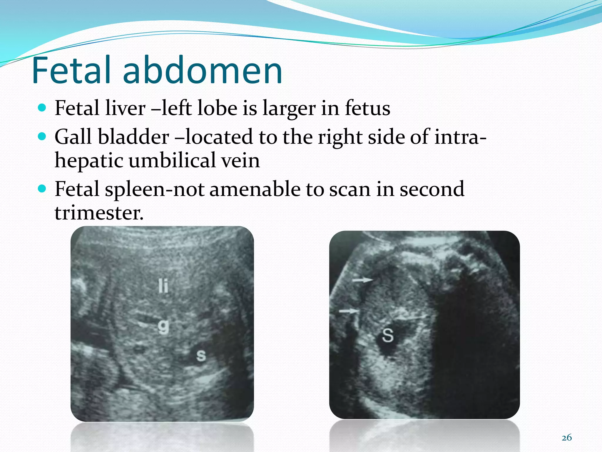 Fetal abdomen
 Fetal liver –left lobe is larger in fetus
 Gall bladder –located to the right side of intra-
  hepatic umbilical vein
 Fetal spleen-not amenable to scan in second
  trimester.




                                                      26
 