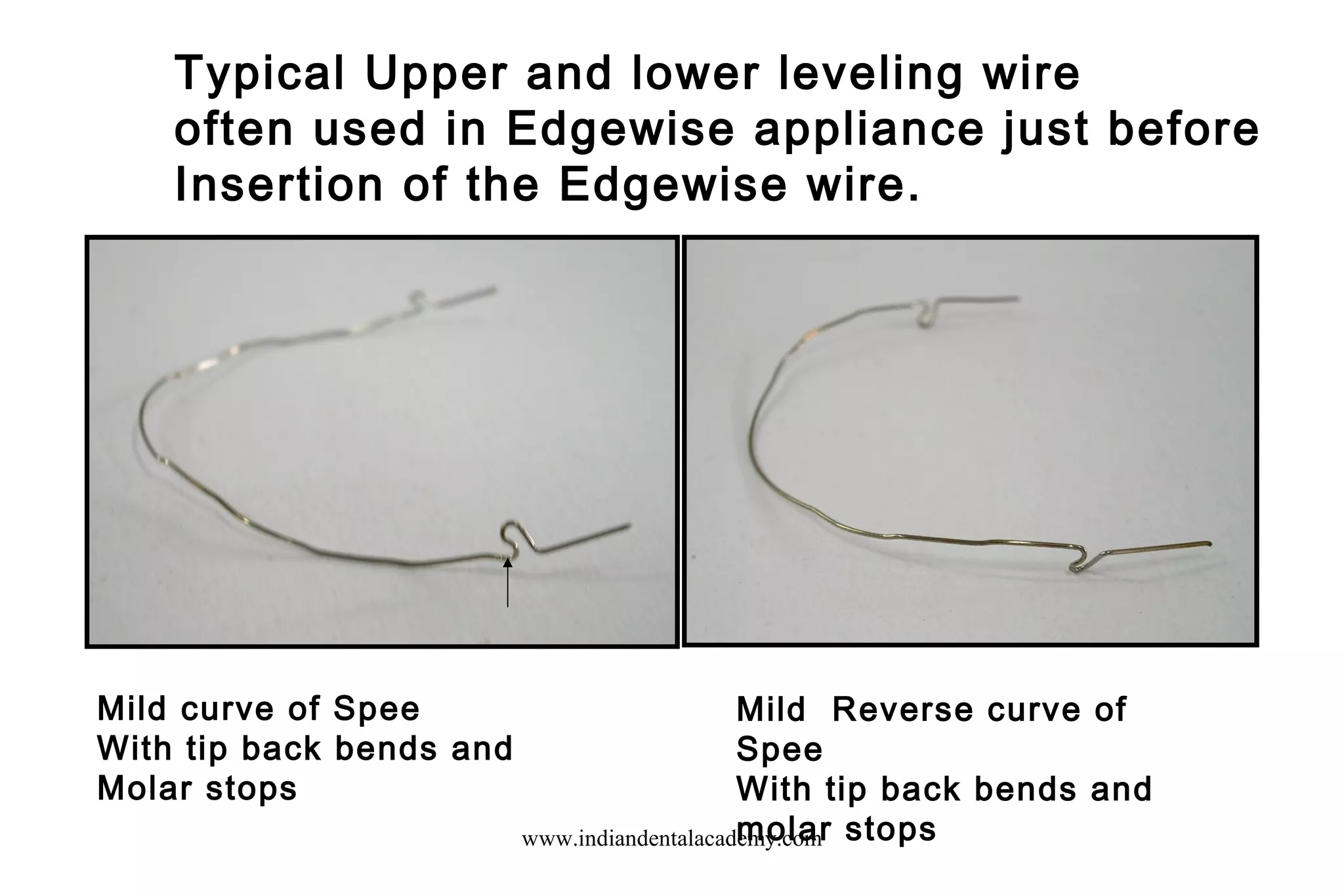 Typical Upper and lower leveling wire
often used in Edgewise appliance just before
Insertion of the Edgewise wire.
Mild curve of Spee
With tip back bends and
Molar stops
Mild Reverse curve of
Spee
With tip back bends and
molar stopswww.indiandentalacademy.com
 
