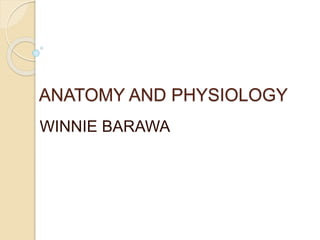 ANATOMY AND PHYSIOLOGY
WINNIE BARAWA
 