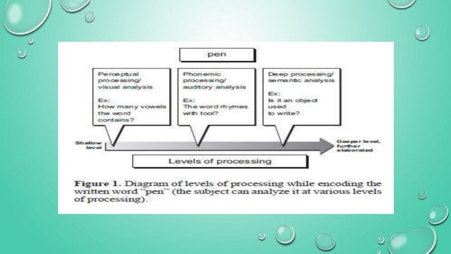 Level of processing | PPTX | Artificial Intelligence | Technology ...