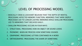 Level of processing | PPT
