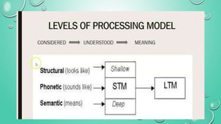Level of processing | PPT