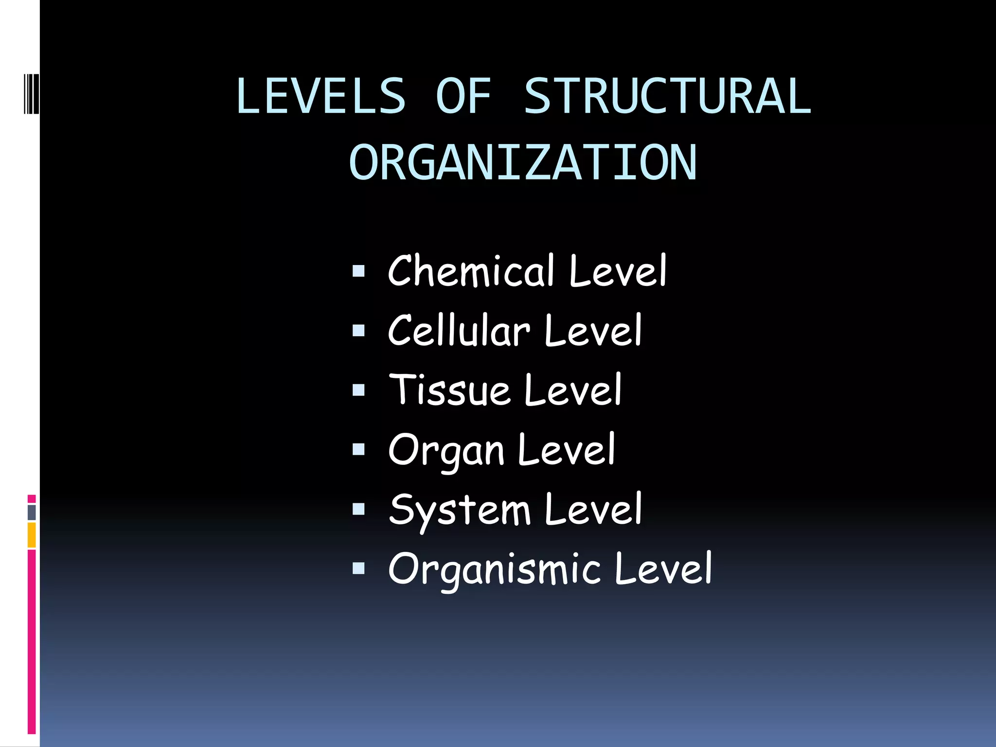 LEVELS OF STRUCTURAL
    ORGANIZATION
     Chemical Level
     Cellular Level
     Tissue Level
     Organ Level
     System Level
     Organismic Level
 
