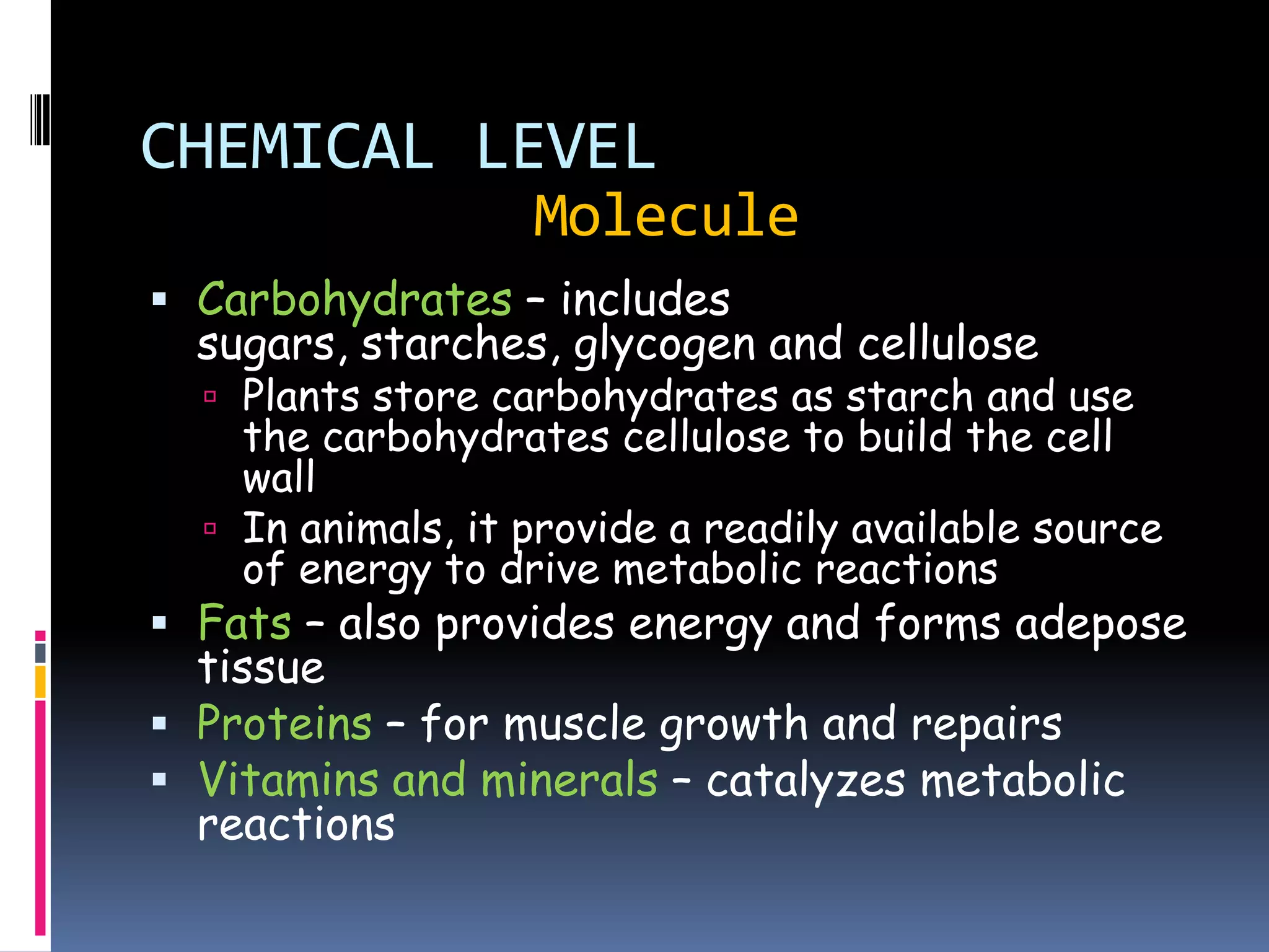 CHEMICAL LEVEL
                   Molecule
 Carbohydrates – includes
  sugars, starches, glycogen and cellulose
   Plants store carbohydrates as starch and use
    the carbohydrates cellulose to build the cell
    wall
   In animals, it provide a readily available source
    of energy to drive metabolic reactions
 Fats – also provides energy and forms adepose
  tissue
 Proteins – for muscle growth and repairs
 Vitamins and minerals – catalyzes metabolic
  reactions
 