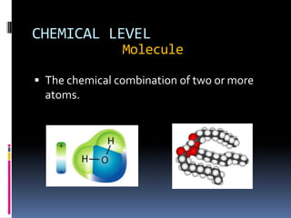 CHEMICAL LEVEL
                Molecule

 The chemical combination of two or more
  atoms.
 