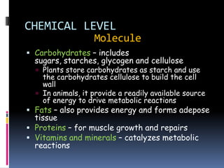 CHEMICAL LEVEL
                   Molecule
 Carbohydrates – includes
  sugars, starches, glycogen and cellulose
   Plants store carbohydrates as starch and use
    the carbohydrates cellulose to build the cell
    wall
   In animals, it provide a readily available source
    of energy to drive metabolic reactions
 Fats – also provides energy and forms adepose
  tissue
 Proteins – for muscle growth and repairs
 Vitamins and minerals – catalyzes metabolic
  reactions
 