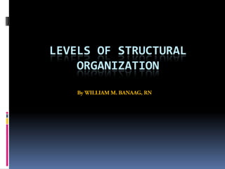 LEVELS OF STRUCTURAL
    ORGANIZATION
 