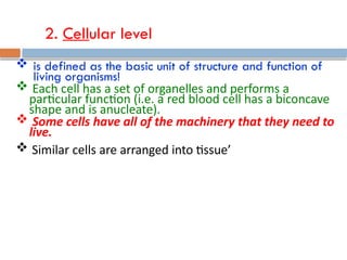 Comprehensive Overview of Human Body's Structural Organization Levels ...
