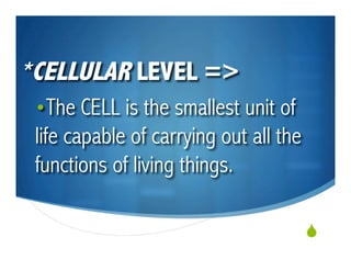 Levels Of Bio Organization