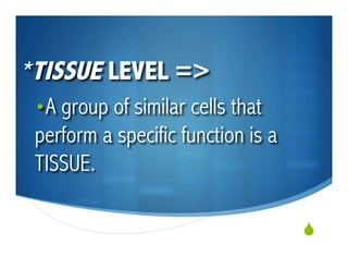 Levels Of Bio Organization