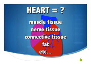 Levels Of Bio Organization