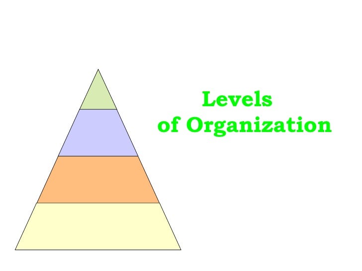 Levels Of Organization Version 2 For Vocab