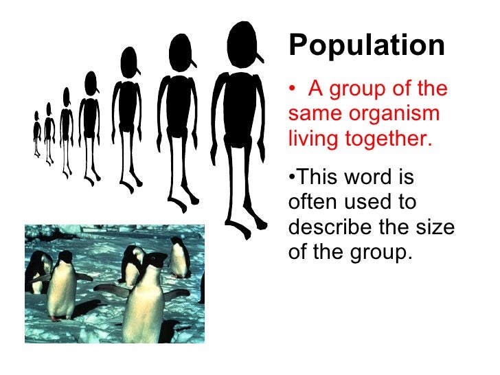 Levels Of Organization Version 2 For Vocab