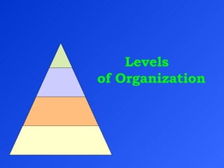 Levels    of Organization 