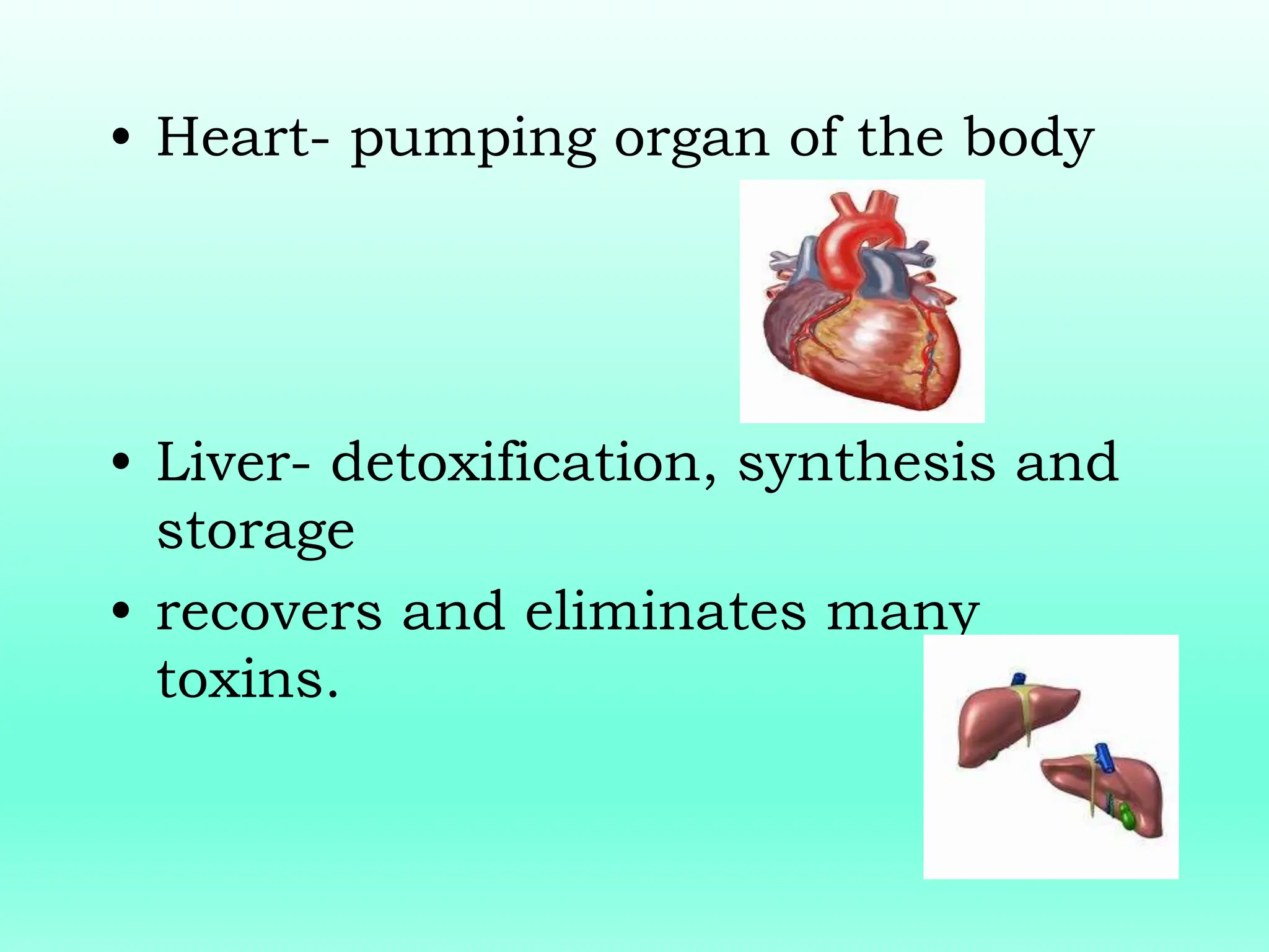 • Heart- pumping organ of the body
• Liver- detoxification, synthesis and
storage
• recovers and eliminates many
toxins.
 
