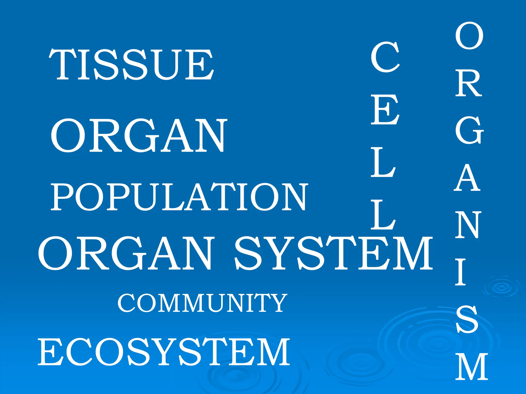 TISSUE C
E
L
L
ORGAN
ORGAN SYSTEM
O
R
G
A
N
I
S
M
POPULATION
ECOSYSTEM
COMMUNITY
 