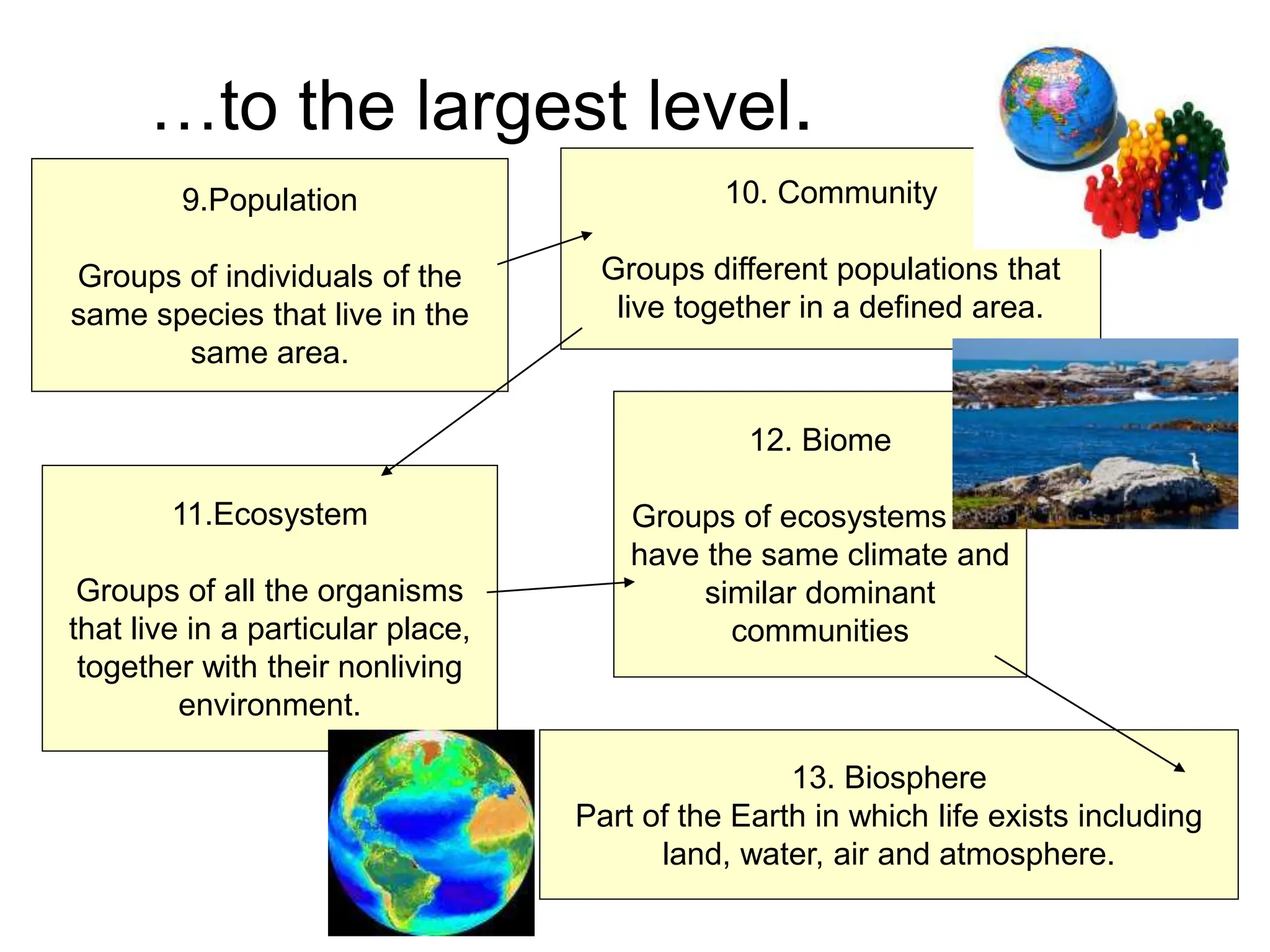 …to the largest level.
9.Population
Groups of individuals of the
same species that live in the
same area.
10. Community
Groups different populations that
live together in a defined area.
11.Ecosystem
Groups of all the organisms
that live in a particular place,
together with their nonliving
environment.
13. Biosphere
Part of the Earth in which life exists including
land, water, air and atmosphere.
12. Biome
Groups of ecosystems that
have the same climate and
similar dominant
communities
 