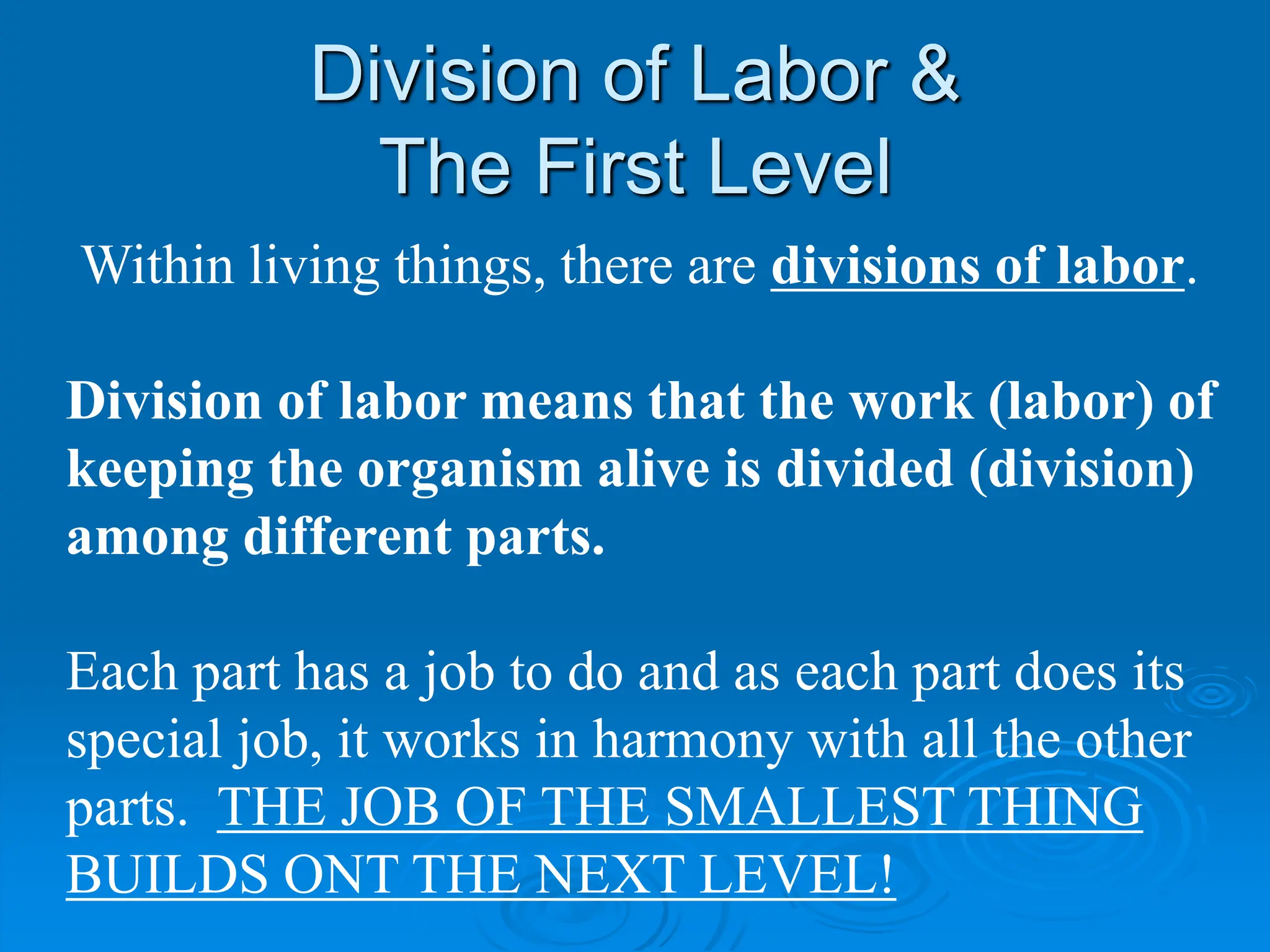 Division of Labor &
The First Level
Within living things, there are divisions of labor.
Division of labor means that the work (labor) of
keeping the organism alive is divided (division)
among different parts.
Each part has a job to do and as each part does its
special job, it works in harmony with all the other
parts. THE JOB OF THE SMALLEST THING
BUILDS ONT THE NEXT LEVEL!
 