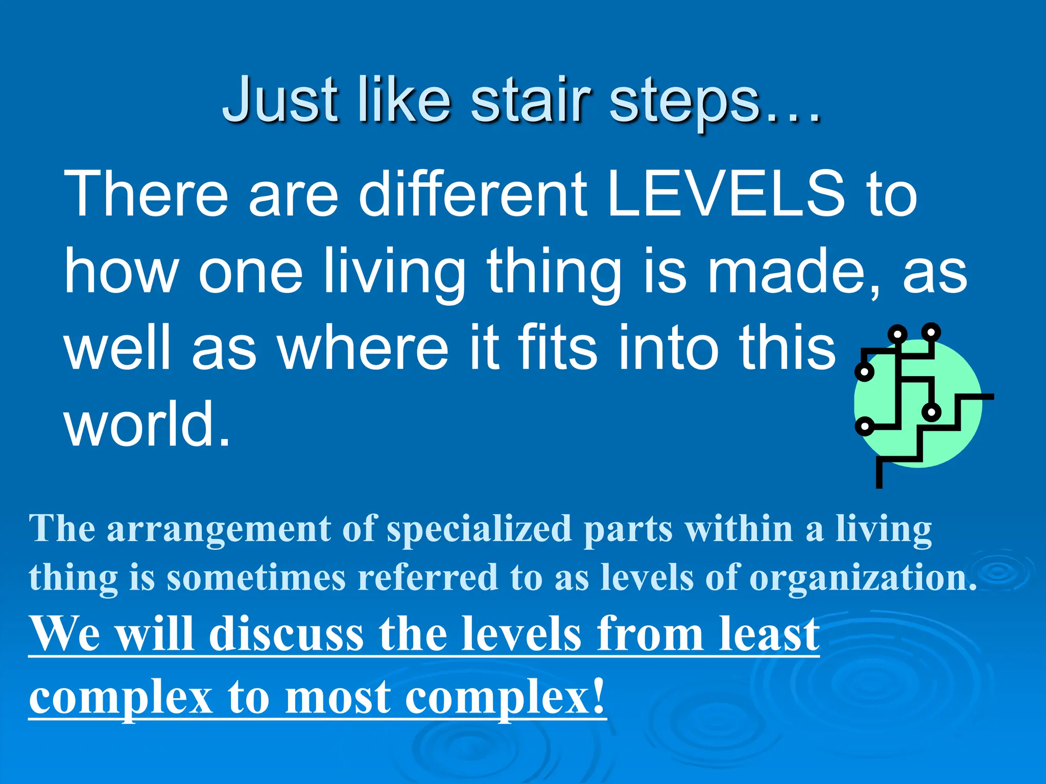 Just like stair steps…
There are different LEVELS to
how one living thing is made, as
well as where it fits into this
world.
The arrangement of specialized parts within a living
thing is sometimes referred to as levels of organization.
We will discuss the levels from least
complex to most complex!
 
