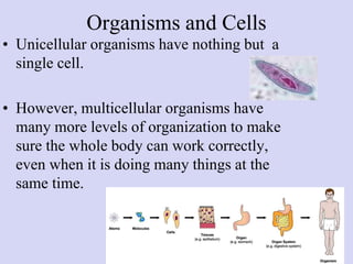 Organisms and Cells
• Unicellular organisms have nothing but a
single cell.
• However, multicellular organisms have
many more levels of organization to make
sure the whole body can work correctly,
even when it is doing many things at the
same time.
 