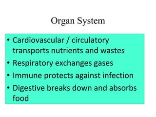 Organ System
• Cardiovascular / circulatory
transports nutrients and wastes
• Respiratory exchanges gases
• Immune protects against infection
• Digestive breaks down and absorbs
food
 
