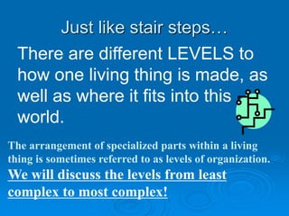 Just like stair steps…
There are different LEVELS to
how one living thing is made, as
well as where it fits into this
world.
The arrangement of specialized parts within a living
thing is sometimes referred to as levels of organization.
We will discuss the levels from least
complex to most complex!
 