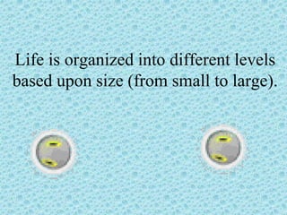 Life is organized into different levels
based upon size (from small to large).
 