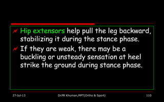  Hip extensors help pull the leg backward,
stabilizing it during the stance phase.
 If they are weak, there may be a
buckling or unsteady sensation at heel
strike the ground during stance phase.
27-Jul-13 Dr.PR Khuman,MPT(Ortho & Sport) 110
 