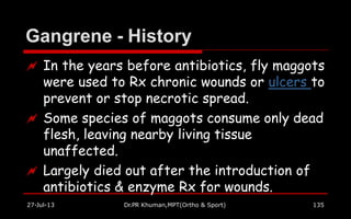 Gangrene - History
27-Jul-13 Dr.PR Khuman,MPT(Ortho & Sport) 135
 In the years before antibiotics, fly maggots
were used to Rx chronic wounds or ulcers to
prevent or stop necrotic spread.
 Some species of maggots consume only dead
flesh, leaving nearby living tissue
unaffected.
 Largely died out after the introduction of
antibiotics & enzyme Rx for wounds.
 
