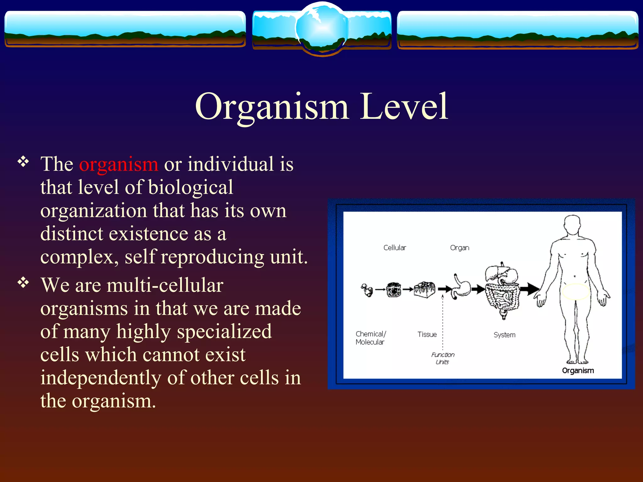 Organism Level
 The organism or individual is
that level of biological
organization that has its own
distinct existence as a
complex, self reproducing unit.
 We are multi-cellular
organisms in that we are made
of many highly specialized
cells which cannot exist
independently of other cells in
the organism.
 