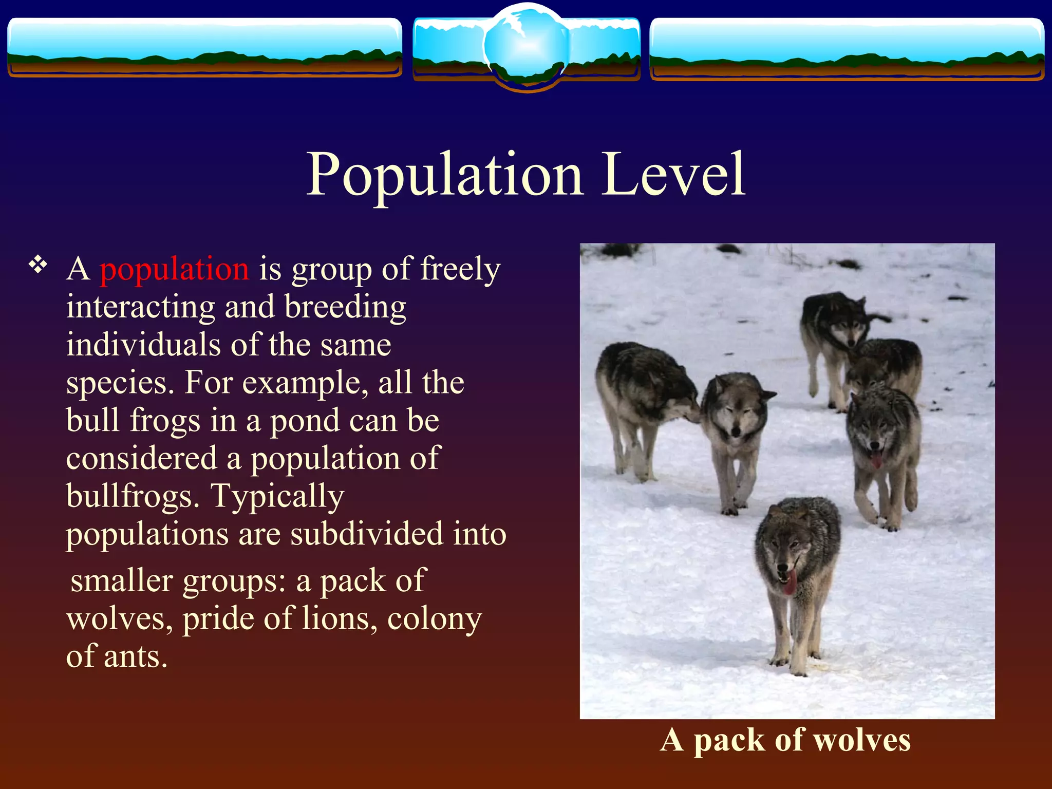 Population Level
 A population is group of freely
interacting and breeding
individuals of the same
species. For example, all the
bull frogs in a pond can be
considered a population of
bullfrogs. Typically
populations are subdivided into
smaller groups: a pack of
wolves, pride of lions, colony
of ants.
A pack of wolves
 