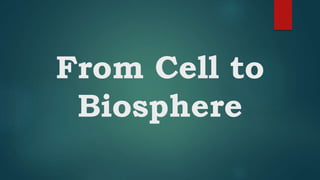 From Cell to
Biosphere
 