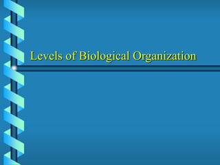 Levels of Biological Organization
 