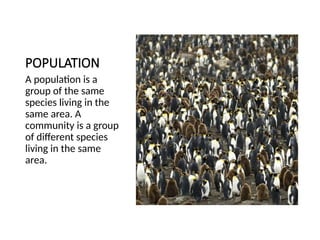 Understanding Populations LEVELS OF BIOLOGICAL ORGANIZATION - SCIENCE.pptx