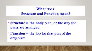 Levels of Biological Organization. Powerpoint presentation | PPT