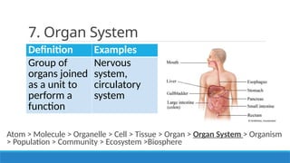 levels of biological organization (2).pptx