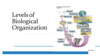 Levelsof
Biological
Organization
 
