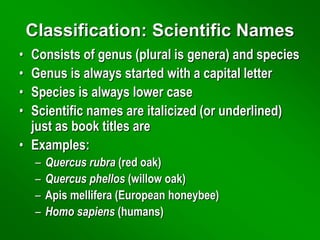 Levels of classification | PPTX