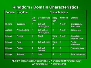 Kingdom / Domain Characteristics
Domain Kingdom Characteristics
Cell
type
Cell structure Body
type
Nutrition Example
Bacteria Eubacteria P Cell wall,
peptidoglycan
U A and H Enterobacteria
Spirochetes
Archaea Archaebacteria P Cell wall, no
peptidoglycan
U A and H Methanogens
Eukarya Protista E Mixed U and
M
A and H Ameoebas,
euglenas, kelps
Eukarya Fungi E Cell wall, chitin U and
M
H Yeasts,
mushrooms
Eukarya Plantae E Cell wall,
cellulose
M A Ferns, pine trees
Eukarya Animalae E None M H Birds, earthworms
KEY: P = prokaryotic; E = eukaryotic; U = unicellular; M = multicellular;
A = autotrophic; H = heterotrophic
 